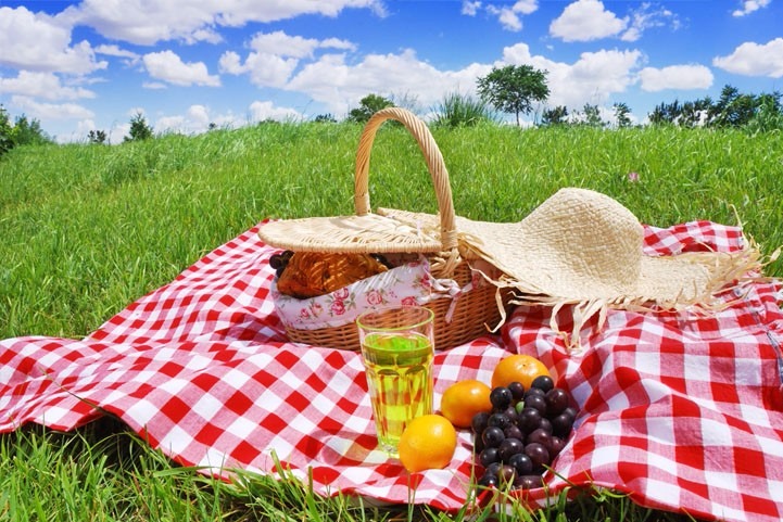 TEPECİK KÖYÜ DERNEĞİNİN PİKNİĞİ