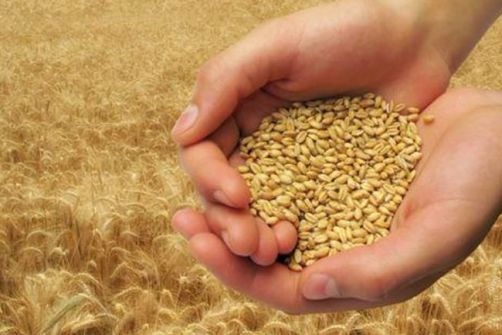 FİTRE ve ZEKATLARINIZ GÜRÜN'E...