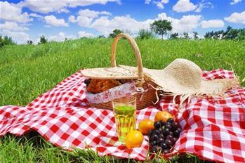 TEPECİK KÖYÜ DERNEĞİNİN PİKNİĞİ